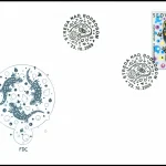 Ochrona Środowiska - Fauna - Salamandra