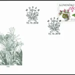 Ochrona przyrody: Równina Murańska - Daphne Arbuscula