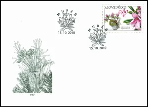 Ochrona przyrody: Równina Murańska - Daphne Arbuscula