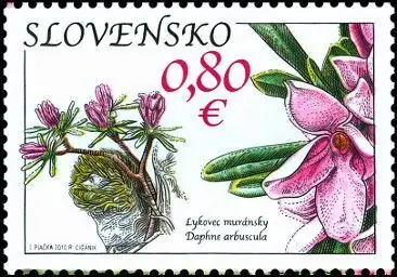 Ochrona przyrody: Równina Murańska - Daphne Arbuscula