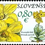 Ochrona przyrody: Równina Murańska - Prirose (Primula Auricula)