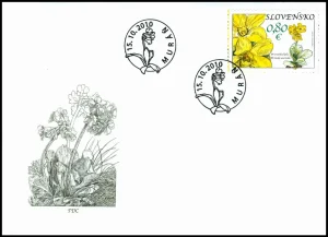 Ochrona przyrody: Równina Murańska - Prirose (Primula Auricula)