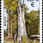 EUROPA - Lasy - Park Narodowy Połoniny