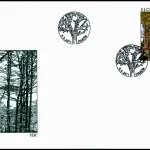 EUROPA - Lasy - Park Narodowy Połoniny