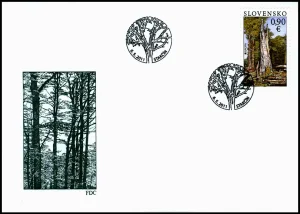 EUROPA - Lasy - Park Narodowy Połoniny