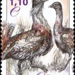 Ochrona przyrody - drop