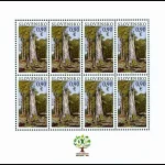 EUROPA - Lasy - Park Narodowy Połoniny