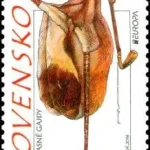 EUROPA 2014: Narodowe Instrumenty Muzyczne – Dudy Trzygłosowe