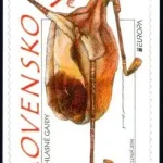 EUROPA 2014: Narodowe Instrumenty Muzyczne – Dudy Trzygłosowe