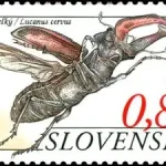 Ochrona przyrody: Sitno - Narodowy rezerwat przyrody