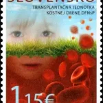 Przeszczep szpiku kostnego