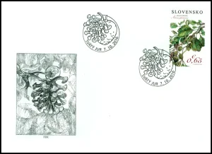 Ochrona przyrody: Państwowy Rezerwat Šúr w pobliżu miasteczka Święty Jur