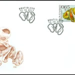 Ochrona przyrody: grzyby - Kielonka błyszcząca Caloscypha fulgens