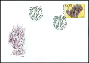 Ochrona przyrody: grzyby - Goździec fioletowy Clavaria zollingeri