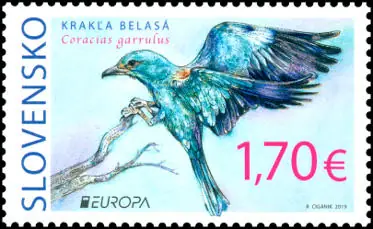 EUROPA 2019: Rzadkie ptaki - Coracias garrulus (Kraska)