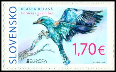 EUROPA 2019: Rzadkie ptaki - Coracias garrulus (Kraska)