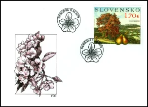 Ochrona przyrody: Drzewa owocowe - Pyrus communis (Grusza pospolita)