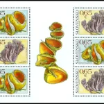 Ochrona przyrody: grzyby - Kielonka błyszcząca Caloscypha fulgens - Goździec fioletowy Clavaria zollingeri