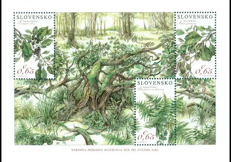 Ochrona przyrody: Państwowy Rezerwat Šúr w pobliżu miasteczka Święty Jur