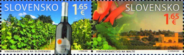 Uprawa winorośli na Słowacji i na Malcie
