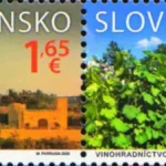 Uprawa winorośli na Słowacji i na Malcie