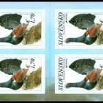 EUROPA 2021: Głuszec zachodni