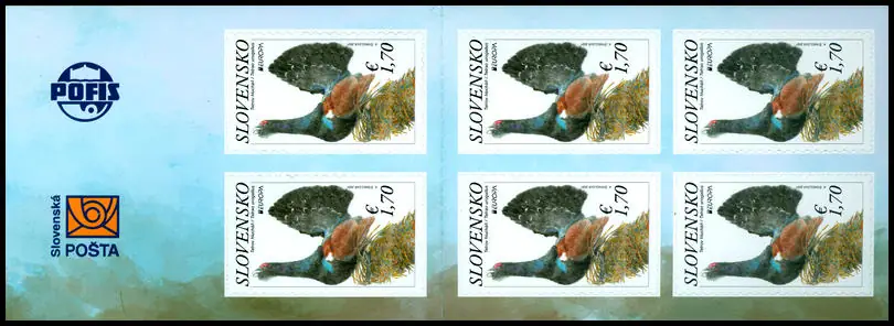 EUROPA 2021: Głuszec zachodni