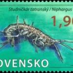 Ochrona przyrody: Demianowska Jaskinia Wolności - Niphargus tatrensis