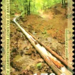 150. rocznica uniezależnienia się leśnictwa od górnictwa (1871)