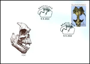 Ochrona przyrody: skamieliny ze Słowacji Foka Devinophoca claytoni