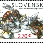 Ochrona przyrody: Pszczoły