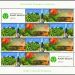 Uprawa winorośli na Słowacji i na Malcie