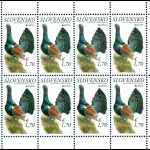 EUROPA 2021: Głuszec zachodni