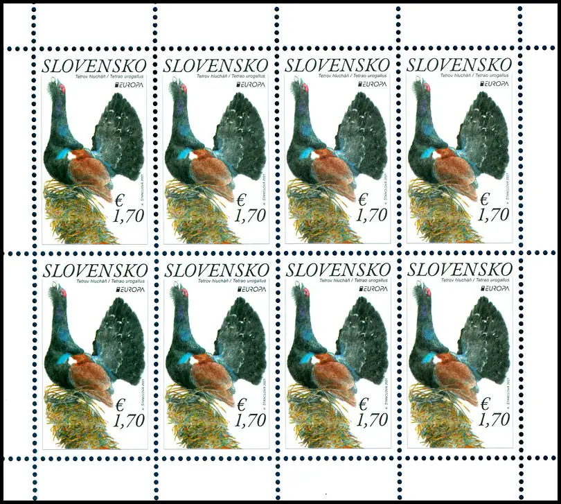 EUROPA 2021: Głuszec zachodni