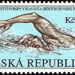 Mistrzostwa Europy w pływaniu i nurkowaniu