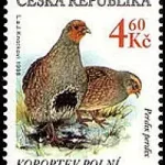 Zagrożone zwierzęta