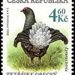 Zagrożone zwierzęta