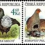 Zagrożone zwierzęta