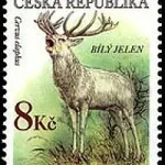 Zagrożone zwierzęta