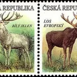 Zagrożone zwierzęta