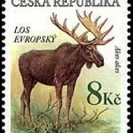 Zagrożone zwierzęta