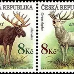 Zagrożone zwierzęta