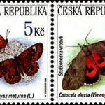 Zagrożone zwierzęta