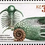 Joachim Barrande i czeskie Trylobity