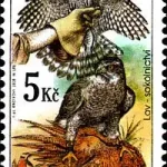 Pory roku w polowaniu