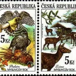 Pory roku w polowaniu