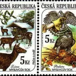 Pory roku w polowaniu