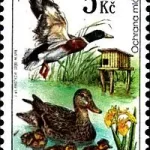 Pory roku w polowaniu