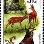 Pory roku w polowaniu