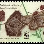 WWF - motyle zagrożone